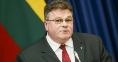 Бывший глава МИД Литвы: Грузия и Украина должны получить MAP
