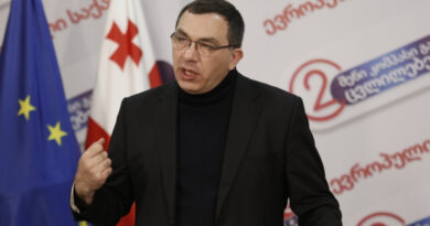 Гига Бокерия избран председателем партии «Европейская Грузия»