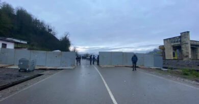 Намахвани ГЭС: Полиция возвела железные заграждения в ущелье Риони