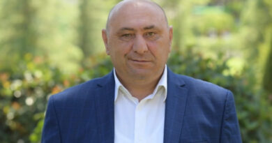 Оппозиционные партии Грузии выступили с заявлениями в поддержку Гоги Цулая