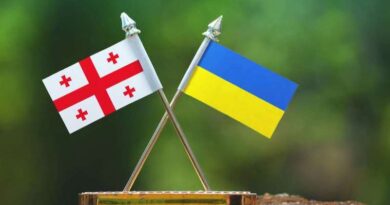 Почему посольства Грузии и Украины обвинили в посягательстве на академическую свободу в Ирландии