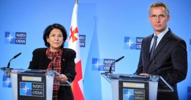 Президент Грузии и генсек НАТО обсудили безопасность Черноморского региона