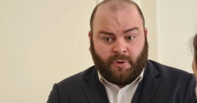 Член партии Гахария: «В Грузии наличествуют формы неформального правления»