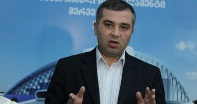 Давит Бакрадзе не намерен вступать в какую-либо парламентскую фракцию
