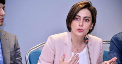Деканоидзе: Вопрос вхождения «ЕНД» в парламент будет обсуждаться 30 мая