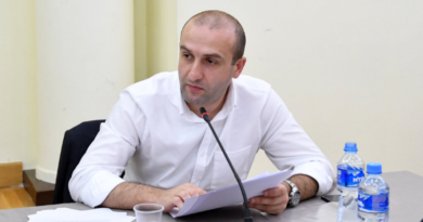 «Гирчи» выступила с инициативой принять законопроекты Об амнистии по событиям 7 ноября и 26 мая