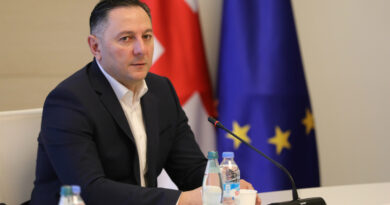 Глава МВД Грузии осудил нападение на журналистов и Ивери Мелашвили