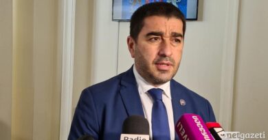 Папуашвили критикует европейских политиков за встречу с Саакашвили