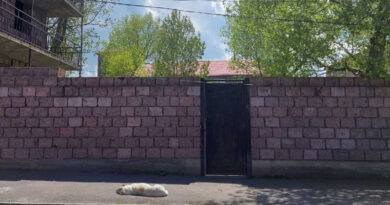 Представителей омбудсмена вновь не допустили на территорию детского пансионата в Ниноцминда