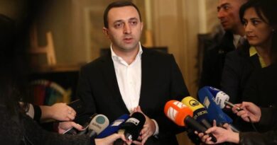 Премьер Гарибашвили призвал противников Намахвани ГЭС к «здравому смыслу»