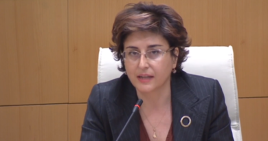 Самнидзе: Медиаторы отреагируют на пункт о согласии обвиняемых в законопроекте «Об амнистии»