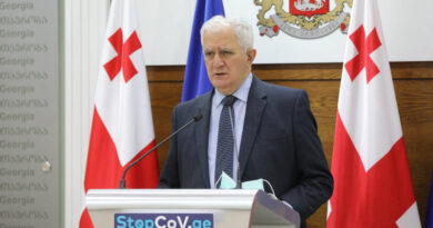 В Грузии могут начать применение Sinovac до получения одобрения ВОЗ