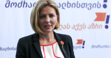 Анна Долидзе предложила свою кандидатуру в качестве единого кандидата в мэры Тбилиси