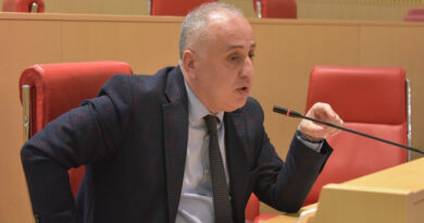 Депутат от «Мечты» призвал оппозицию работать в парламенте, а не в палатках