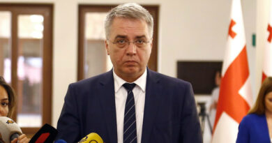 Экс-глава Минздрава Грузии прокомментировал ситуацию в детском пансионе Ниноцминда