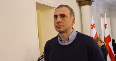 Элисашвили прокомментировал освобождение 15 граждан Армении