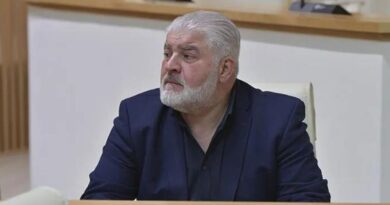 «Европейская Грузия» считает амнистию за ковид-нарушения «подкупом избирателей»
