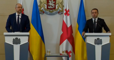 Гарибашвили провел встречу с премьер-министром Украины