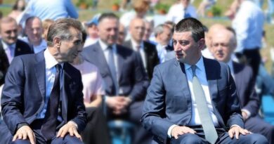 Иванишвили назвал отставку Гахария предательством
