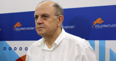 Леван Бердзенишвили покинул ряды «Республиканской партии Грузии»