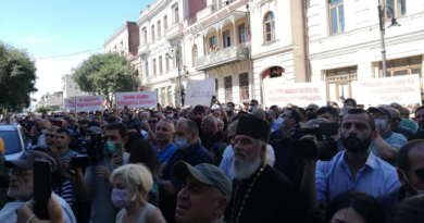 Представители «Альт-инфо» и Леван Васадзе требуют отставки Народного защитника Грузии