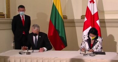 Президенты Литвы и Грузии подписали совместную декларацию
