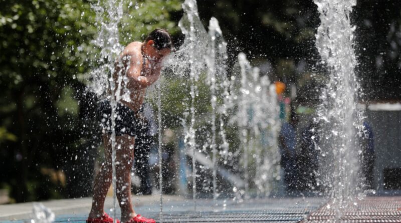 Рекомендации NCDC: как спастись от летней жары