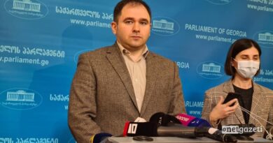 Самхарадзе заявил о благополучном разрешении вопроса по жалобе граждан Грузии работающих в Германии