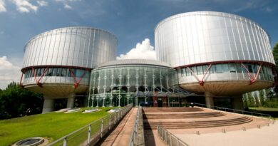 Страсбургский суд возобновил рассмотрение дела об оккупации Грузии