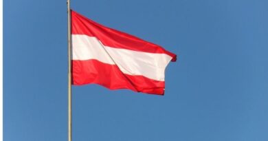 Вакцинированные граждане Грузии смогут посетить Австрию в туристических целях