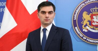 Вахтанг Махароблишвили назначен представителем Грузии в Евросоюзе