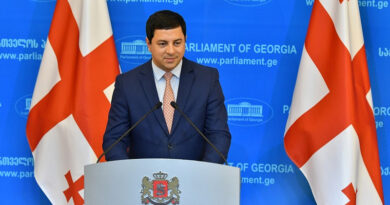 Вице-спикер парламента Грузии: «Все партии должны подписать соглашение Шарля Мишеля»