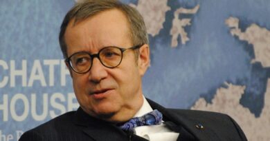 Экс-президент Эстонии: «Какого черта, делает флаг ЕС на пресс-конференции правительства Грузии?»