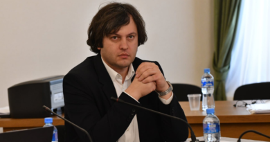 Кобахидзе: Было мобилизовано максимально возможное число правоохранителей