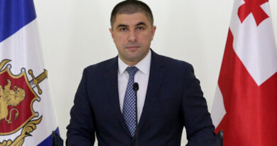 На брифинге в МВД Грузии сообщили только о передвижениях оператора TV Pirveli