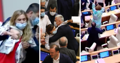 Насилие и притеснение женщин депутатов в парламенте Грузии