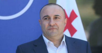 Окриашвили: Согласно исследованиям «Грузинской мечты», их поддержка составляет 28%