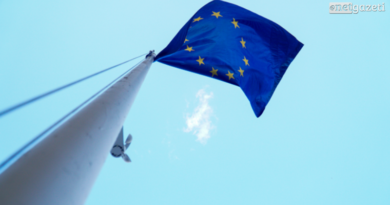 Посольства стран ЕС отправили критическое письмо главе МВД и правительству Грузии