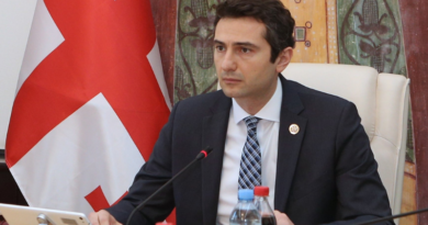 Председатель парламента Грузии: «Насилие неприемлемо»