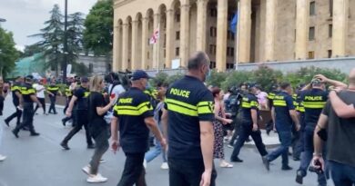 У здания парламента Грузии произошло очередное нападение на журналиста