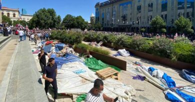 Участники гомофобной акции разобрали палатки противников «Мечты» у парламента