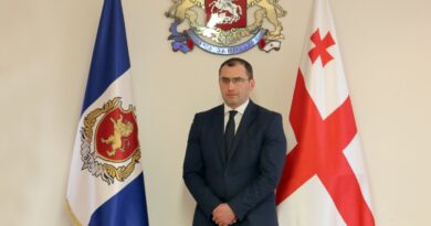 Замглавы МВД Грузии Владимир Борцвадзе подал в отставку