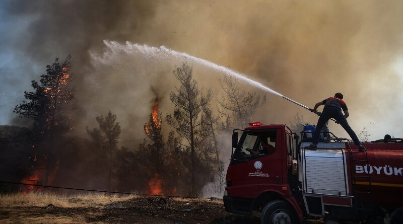 Число погибших в результате лесных пожаров в Турции увеличилось до восьми