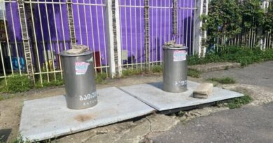 Кандидат от ЕНД: «Почему в Батуми не работают подземные контейнеры для мусора?»