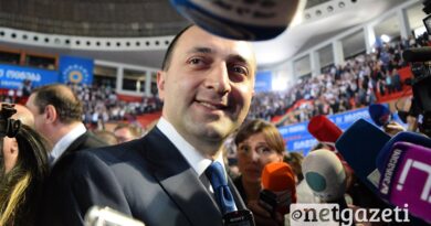 Оценки заявления премьера Грузии: Предвыборные обещания или острая необходимость?