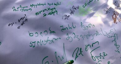 Онлайн-петиция: В Тбилиси собирают подписи в защиту Художественного музея