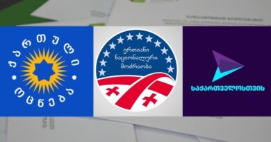 Опрос IRI: «Грузинская Мечта» — 28%, «Нацдвижение» — 15%, партия Гахария — 9%