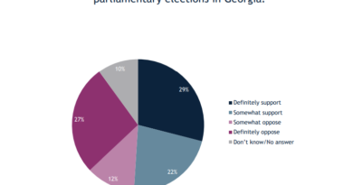 Опрос IRI: За проведение досрочных парламентских выборов в Грузии выступил 51% опрошенных