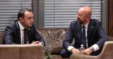 «Реформы нужны, как никогда» — Глава Евросовета напомнил премьеру Грузии о финпомощи ЕС
