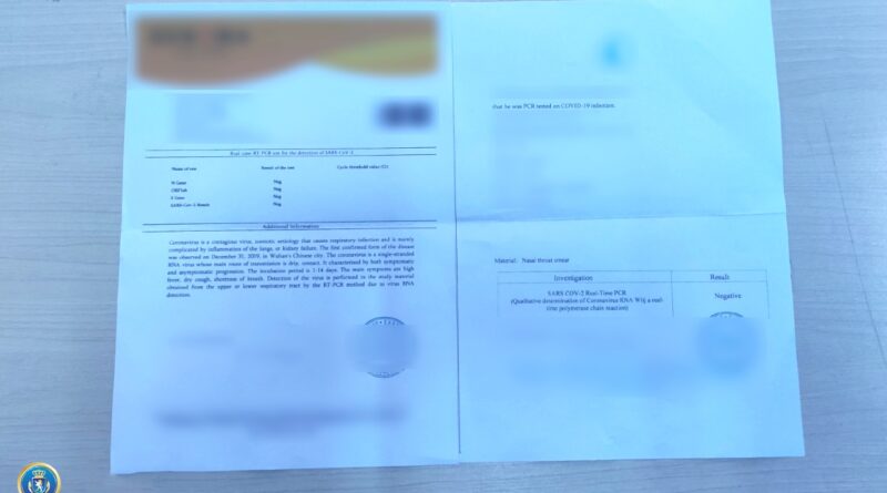 В Грузии за изготовление фальшивых ответов на ПЦР-тест задержан один человек